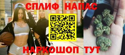 дживик Можга