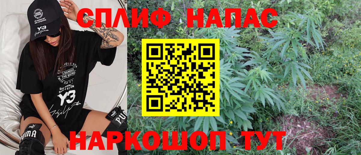 МАРИХУАНА сатива  Бошки марихуана сатива  Удомля  Бошки марихуана конопля  Бошки марихуана Ganja  Вход с VPN 